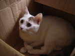 DSC01085