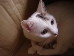 DSC01087