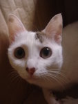 DSC01091