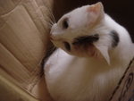 DSC01116