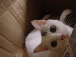 DSC01118