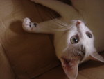 DSC01121