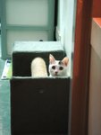 DSC01228