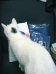 DSC01555