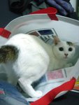 DSC01599