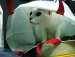 DSC01604