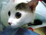 DSC016071