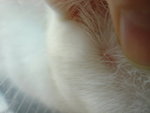 DSC03002