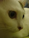 DSC03265