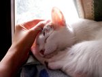 DSC000231