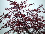 �e���ڮa�a�K�����X�f�A�@�X�K���쥦�A�g����~