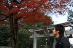 Lap w/Maple Tree @ Japan (I like this pic very much^^) 