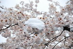 2010-04-17 11-23-17
