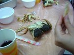 DSC00061