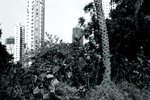 hkmm03
