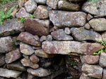 DSCF0419