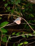 DSCF0430
