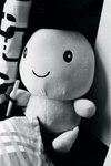 16710035