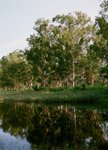 nsw0936