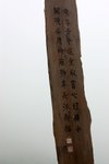 np3607