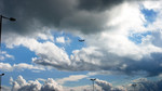 CRW_0244