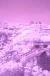 488_8823s