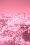 488_8824s