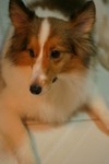 IMG_0424