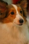 IMG_0428