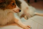 IMG_0435