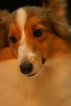 IMG_0448