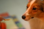 IMG_0466