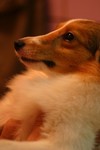 IMG_0554