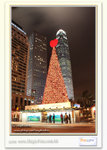 Christmas06-6804