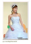 wedd-6868