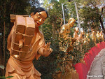 DSCN0244