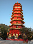 DSCN0248