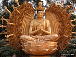 DSCN0254