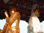 DSCN0267