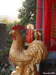 DSCN0274
