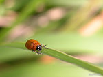 DSCN0042c
