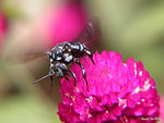 DSCN9528S800600