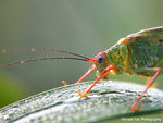 DSCN9622_c
