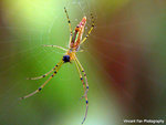 DSCN9637_c2
