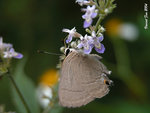 DSCN9910c