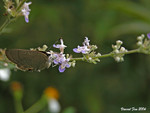 DSCN9912_fungyeun_y