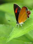 DSCN9958_fungyeun19