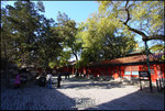 EOS40D_Beijing-D3_1107_299PS