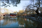 EOS40D_Beijing-D3_1107_395PS