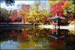 D700_1108_Korea-D3_131PS